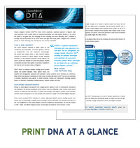 DNA at a Glance Printable